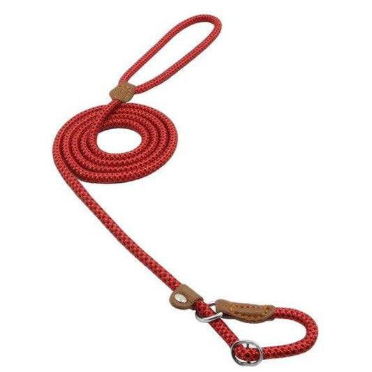 Nylon Pup Set dog collar leash and harness bundle